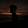zen_twentytwo