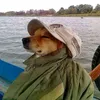 nguyen.phuong.tay