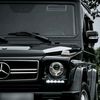ammar_11111
