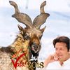 sabeelkhan0276