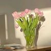 asma_1964
