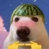 rewfrewrdsdf