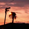 honeyplayer_1234