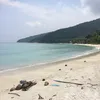 wonggsolo