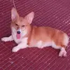 redhotmackie