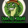 keli.segar