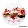 Sbyying3