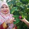 noorazizah3369