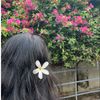 sugar_naim