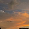 🌅✨