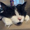 floofy2092
