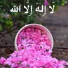 hanegul461