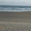 geepereira548