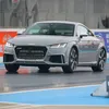 markyttrs
