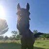 gigi_cavaliere