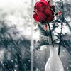 f.rmeza