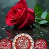 shwsasamosh1976