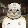 gatolero
