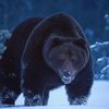 elgrizzly_37