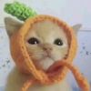 ihaveorangelemons