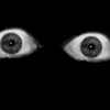 0el._pepe