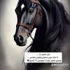 alrooh285