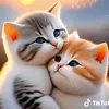souad_rchidi
