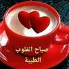 user7505506366956