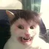 watermeloniiii