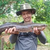sembaranghobii
