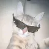 bbiengravyz