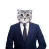 catworkaholic