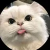 thanhteeu27thw