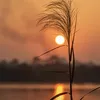 contentwiththepresent