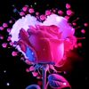 debs_583