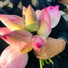 eva_islam022