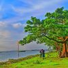  Azmain🌿প্রাকৃতির ভালোবাসা🍃