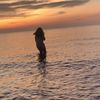 xaviera_laurice