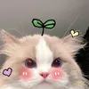 nguyet.dinh69
