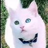 solo_simoo7