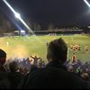 cauncey10