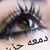user8431450251618