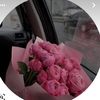 insh228