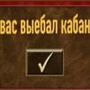 bebra_starser