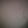 griciliagarcia3