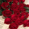 nrl_30998