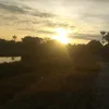 vviethoann17