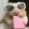 eggsy.ly