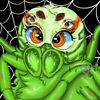 salticidae__