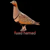 fuadhamad279
